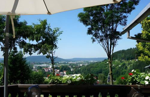 Ferienhaus zum Frankenblick - Foto 8