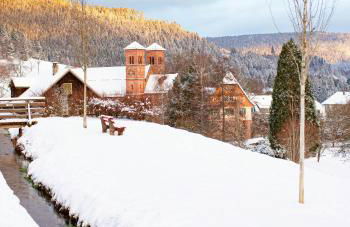 Design House In Black Forest Near Baiersbronn - Photo 31