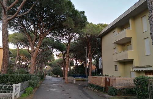 Stella Marina - Foto 16