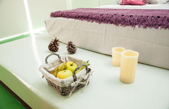 Finca Luz de Alba - Photo 5