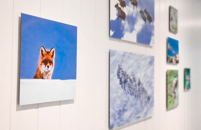 Ingrids Appartement - Photo 47