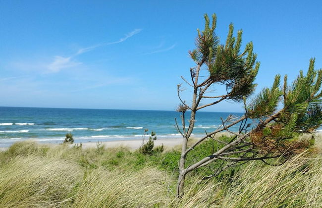 8 Person Holiday Home in Rorvig-by Traum - Foto 22