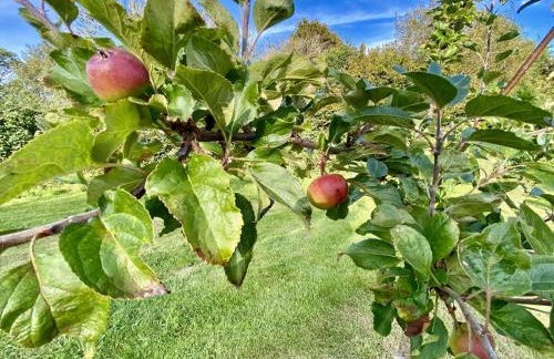Balbeg Cottage - Photo 37