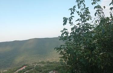 Άγρια Λούλουδα Κατοικία Αρμονία - Photo 43