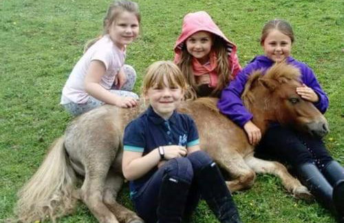 No 4 Trelawney Apartment - Onsite Bar - Restaurant - Horse Riding - Foto 27