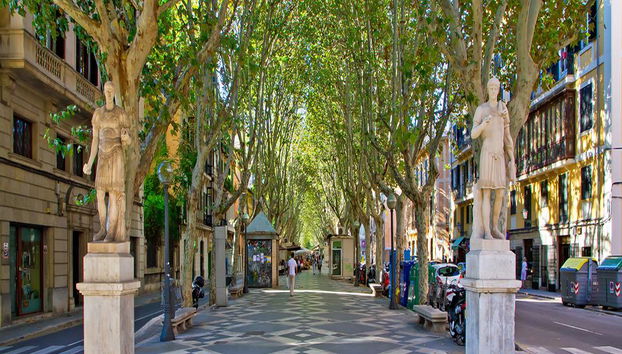 Palma de Mallorca y Valldemossa - Tour de un día entero - Foto 5