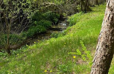 Domki letniskowe pod Brzozami Stella - Photo 33