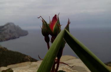 Olympos Archipelagos - Foto 15