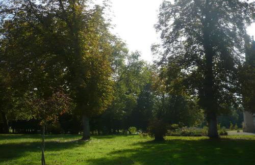 Gîte unique dans propriété historique avec musée, proche Châteauroux, 4 chambres, cheminée, fibre, parking. - FR-1-591-49 - Foto 5