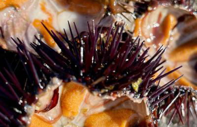 Mèna Mè - Casa vacanza - Salento - Foto 80