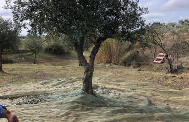 Monte de Stª Margarida - Foto 46