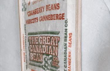 Robinson Crusoe Island Apartment - Foto 38