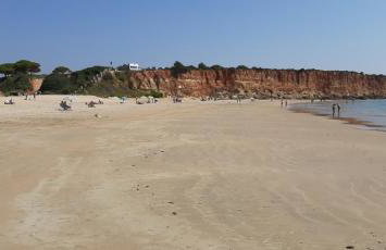 Casa Palmera - Foto 14