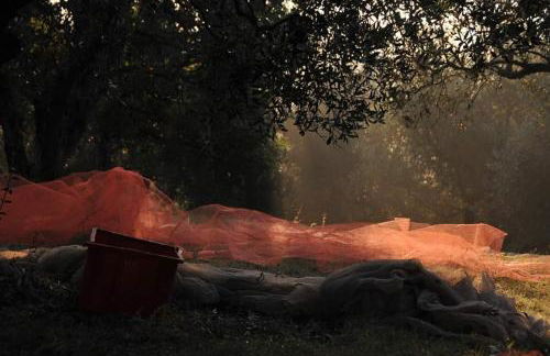 Agriturismo La Casetta del Sole - Photo 12