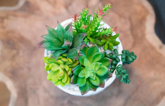 The Relaxing City Escape Walk to Mile High - Foto 27