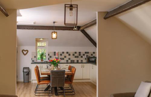 Number One - Ukc4963 - Foto 8