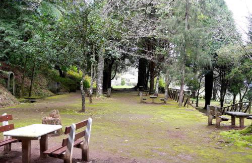 Sea & Mountain View Lombo de Cima House BBQ & Wifi - Foto 31