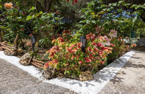 SEA & OLIVES HOUSE - Photo 36