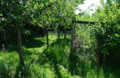 Ty Farm Retreat - Farmhouse Studio - Mountain View - Foto 38