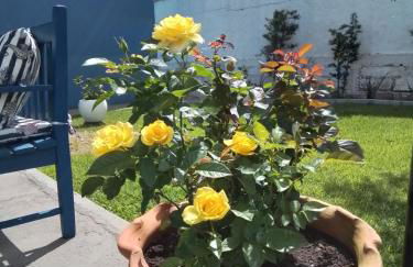 Casa Miosótis apartamentos - Foto 12