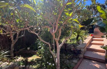 Casa Palmerita a 7 minutos andando de una playa de aguas cristalinas - Foto 24