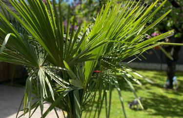 Appartement 3 lys - Foto 25