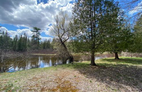 Secluded Au Sable River Home - Foto 60