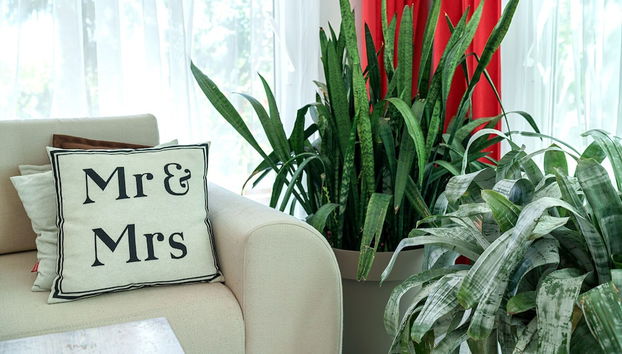 Apartments Nostro Palazzo - Foto 3, Entrada interior