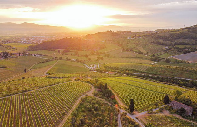 Agriturismo La Fattoria di Capezzana - Foto 71