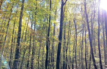 Apartament Natura amb Calma - Foto 21