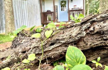 Couples Cottage - Serene Getaway - Foto 65