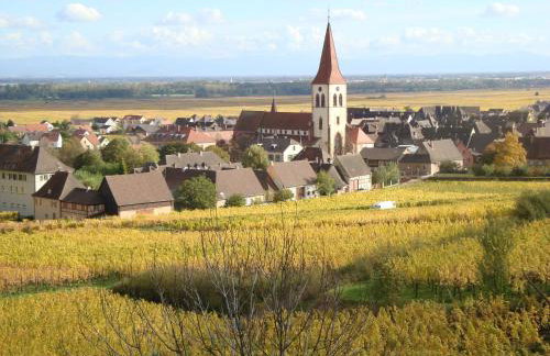 Gites Les Cépages - Foto 13