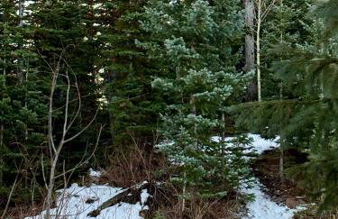 Eagles Roost Haven - Cozy Ski View Condo - Foto 25