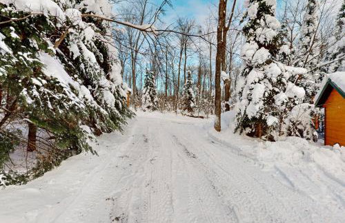 Balsam Ridge Cabin 1- Bear - Foto 16