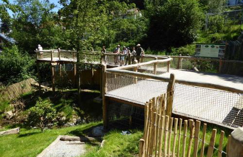 Ferienwohnung Am Rebberg - Photo 13