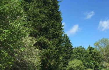 Lovely Semi-rural Caravan & Hot Tub - Sleeps Fam 6 - Photo 79