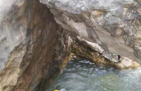 Apartahotel Valle de Rodellar - Foto 15