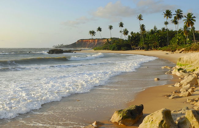 Chocolate com Pimenta Edifício - Photo 65