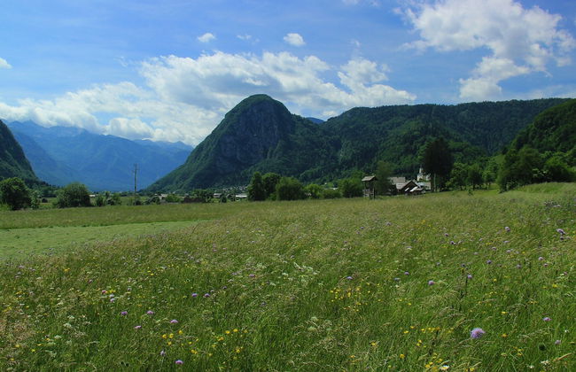 Balmy Apartment in Bohinjsko Jezero near Lake - Foto 20
