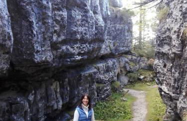 Il nido del pettirosso alloggio per coppie - Foto 41