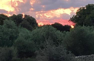 Villa Croatia Heaven - Photo 16