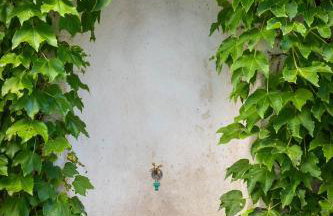 Villa Ani apartment Aquamarine - Foto 40