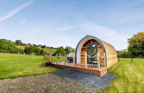 Chestnut Uk36261 - Foto 4