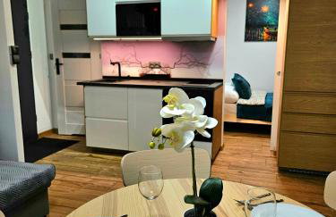 Apartament Kozielska z balkonem, klimatyzacja, darmowy Parking - Foto 3