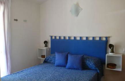 La tartaruga - Photo 9