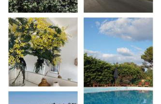 Le Parc des Mimosas - Foto 16