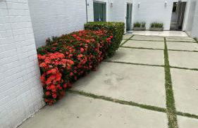 Apartamento confortável e com Piscina a 900 m da praia de Itacoatiara - Foto 66