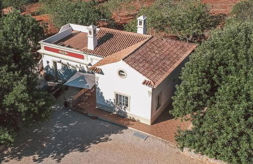 Monte 3 Alfarrobeiras - Foto 4