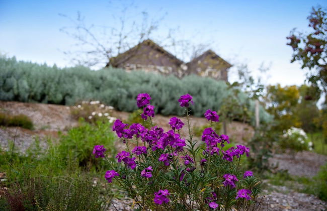 Queensberry Springs Villa 1 - Foto 13