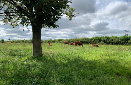 Jenson Cottage - Photo 74